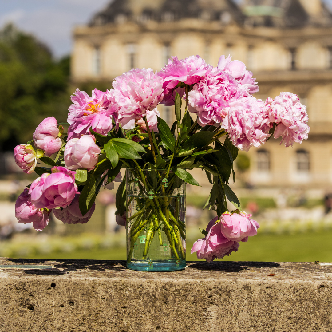 Vase peint à la main LES ORANGERS DU JARDIN DU LUXEMBOURG