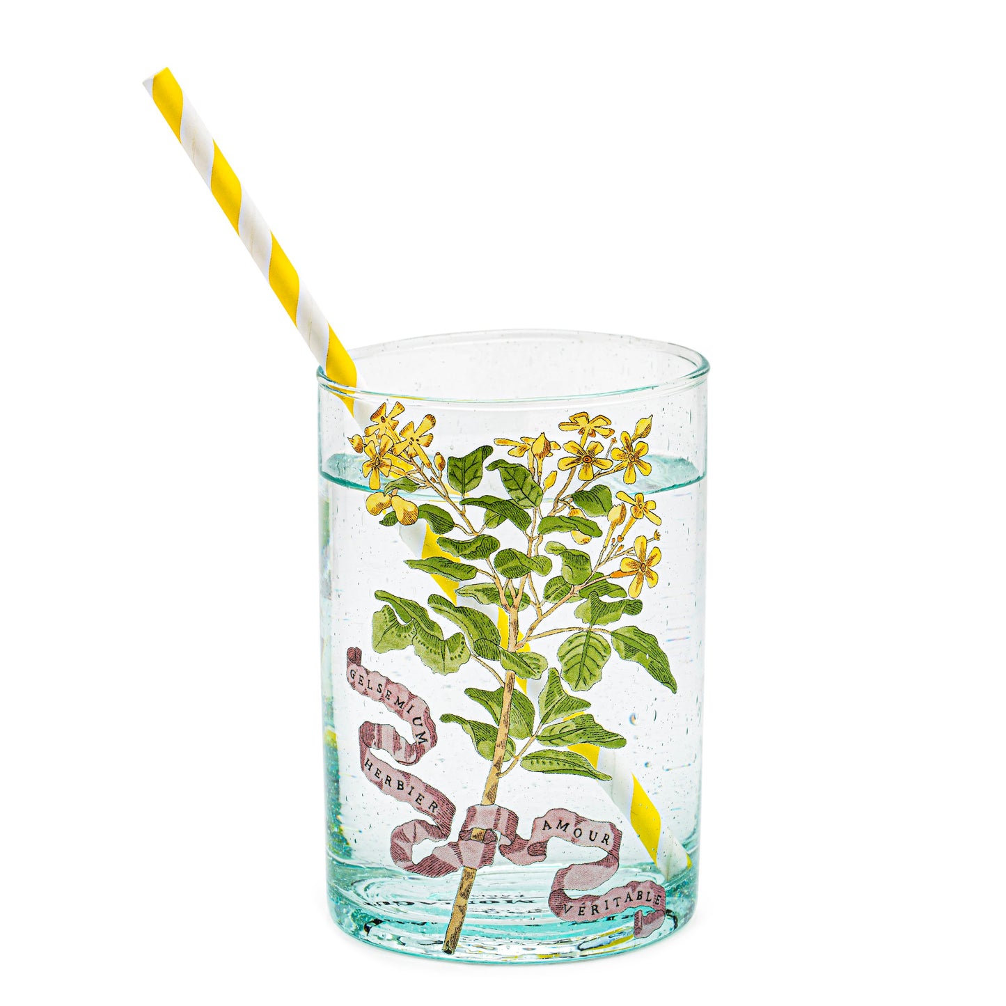 ガラスのイラスト | 写真ゲルセミウム