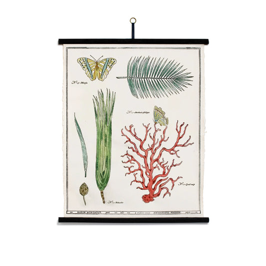 Wall board | CORAL AND PLANTS