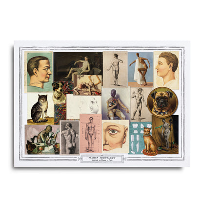 Postcard | ANATOMY MOODBOARD