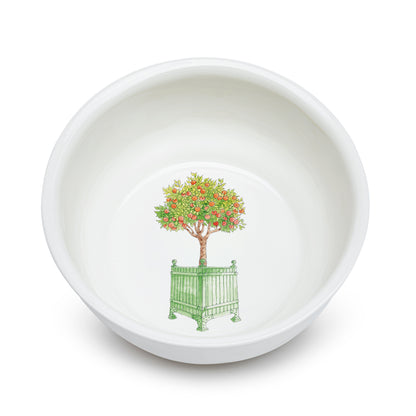 カップ |ルクセンブルクの庭のオレンジの木