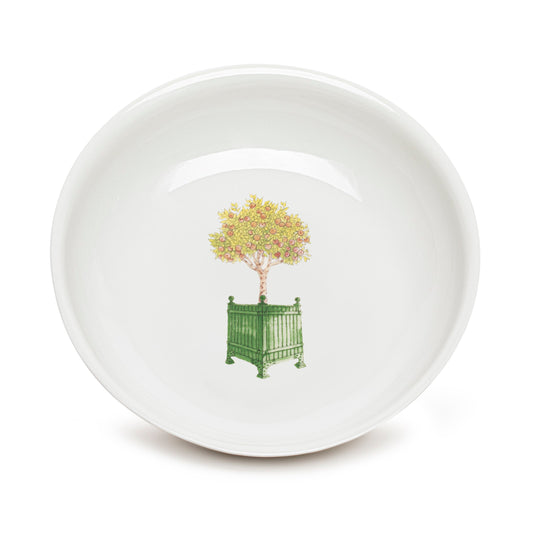 Deep plate | ORANGE TREE FROM THE GARDEN OF LUXEMBOURG