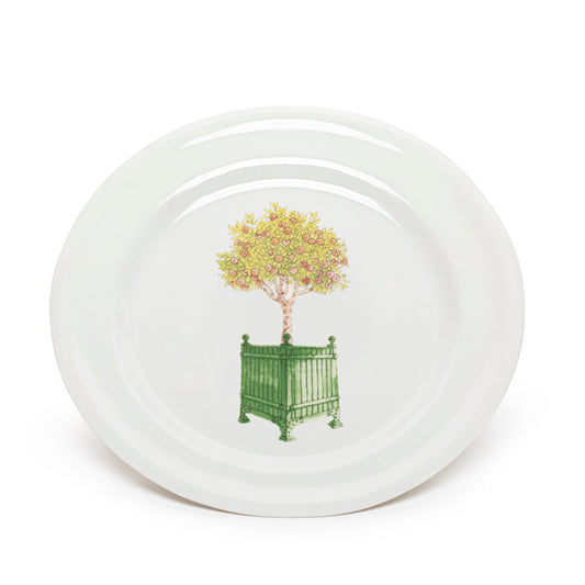 Small plate | ORANGE TREE FROM THE GARDEN OF LUXEMBOURG